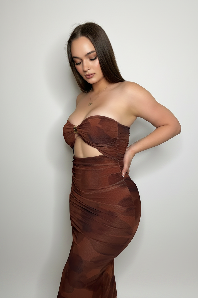 Bronze Beauty Mesh Dress
